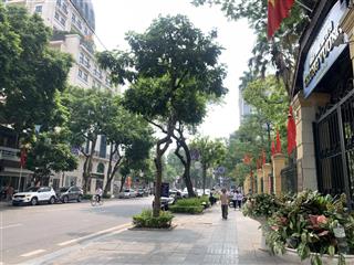 Siêu phẩm lô góc 4 tầng lý thường kiệt, 113m2 x 23m mt cực vip, kinh doanh, 1 sổ đẹp, chỉ 80 tỷ