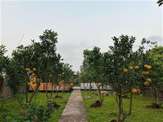 Cần bán dt 360m2, 600m2, 660m2, 1000m2 đất 50 năm xây dựng nhà vườn nghỉ dường tại an khánh, hà nội
