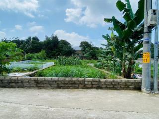 Cần tiền bán 155m2 tại sơn đông sơn tây hà nội giá 2.2 tỷ. rẻ hơn thị trường.  0973 897 ***