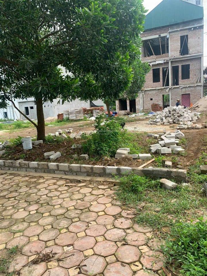 Chính chủ cần tiền bán 100m2 tái định cư đại học quốc gia hà nội giá rẻ đối diện trường học
