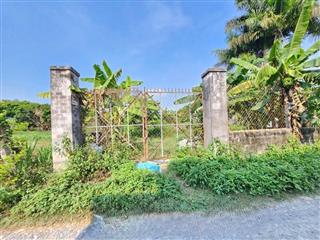 Bán nhanh xoay công việc gia đình, đất 613m2, đang trồng chuối, xã thái mỹ, sổ mới, 400trieu