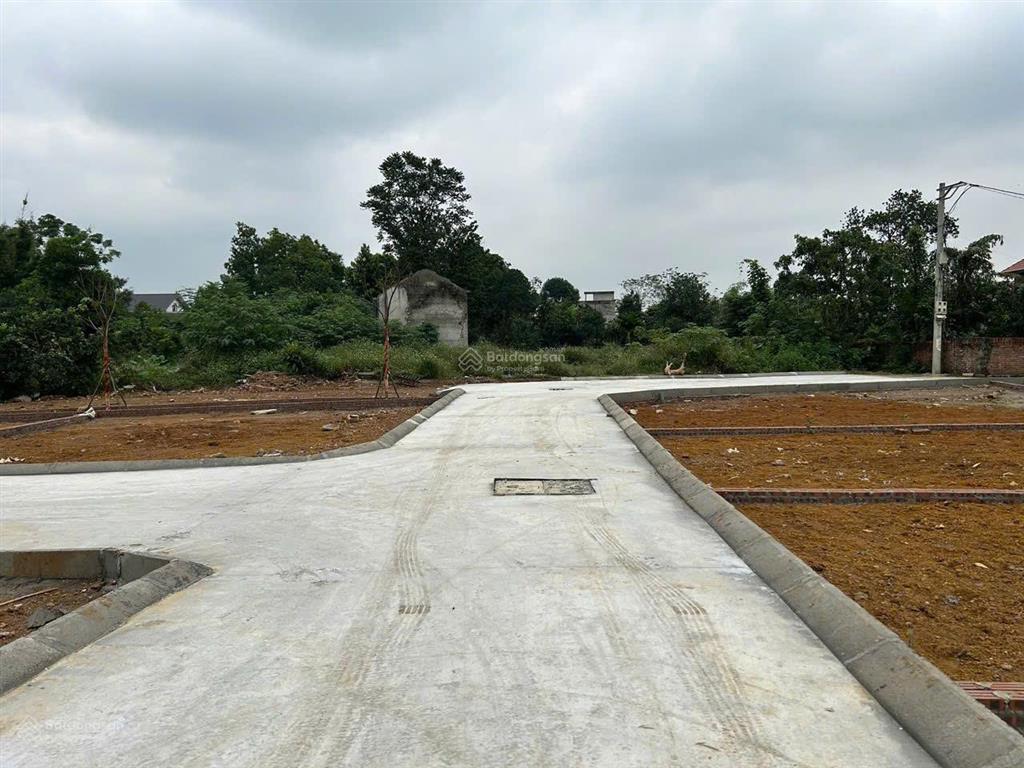 Cần chuyển nhượng 6 lô đất fo tại hoà thạch