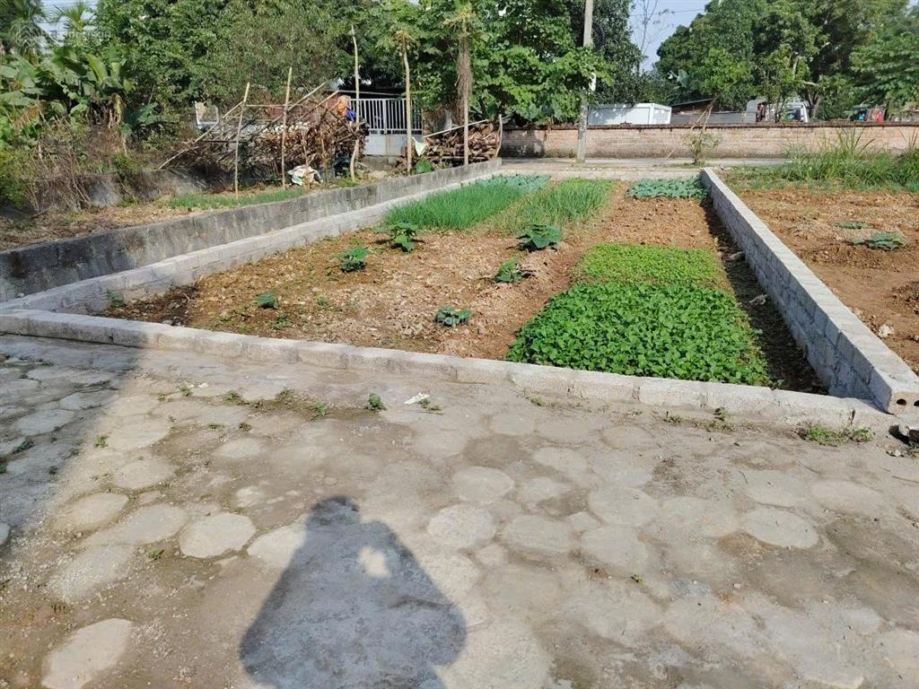 Bán đất kiến trúc sát hồ chí minh, đối diện hồ văn sơn, 69,4m², ô tô, giá hơn 2 tỷ