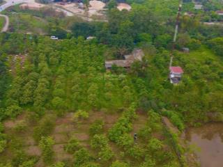 Bán trang trại, khu nghỉ dưỡng tại phúc thọ, hà nội