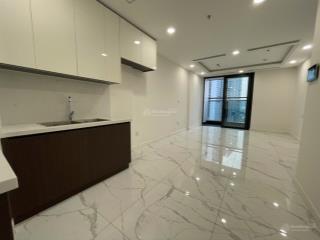Còn duy nhất 1 căn ở sunshine sky city, 2 phòng ngủ, view phú mỹ hưng cho thuê giá chỉ 12 triệu