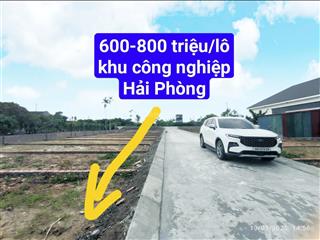 Chính chủ bán 10 lô đất tại thị trấn an dương kcn tràng duệ 3 đầu tư chắc thắng giá bán 8  10tr/m2