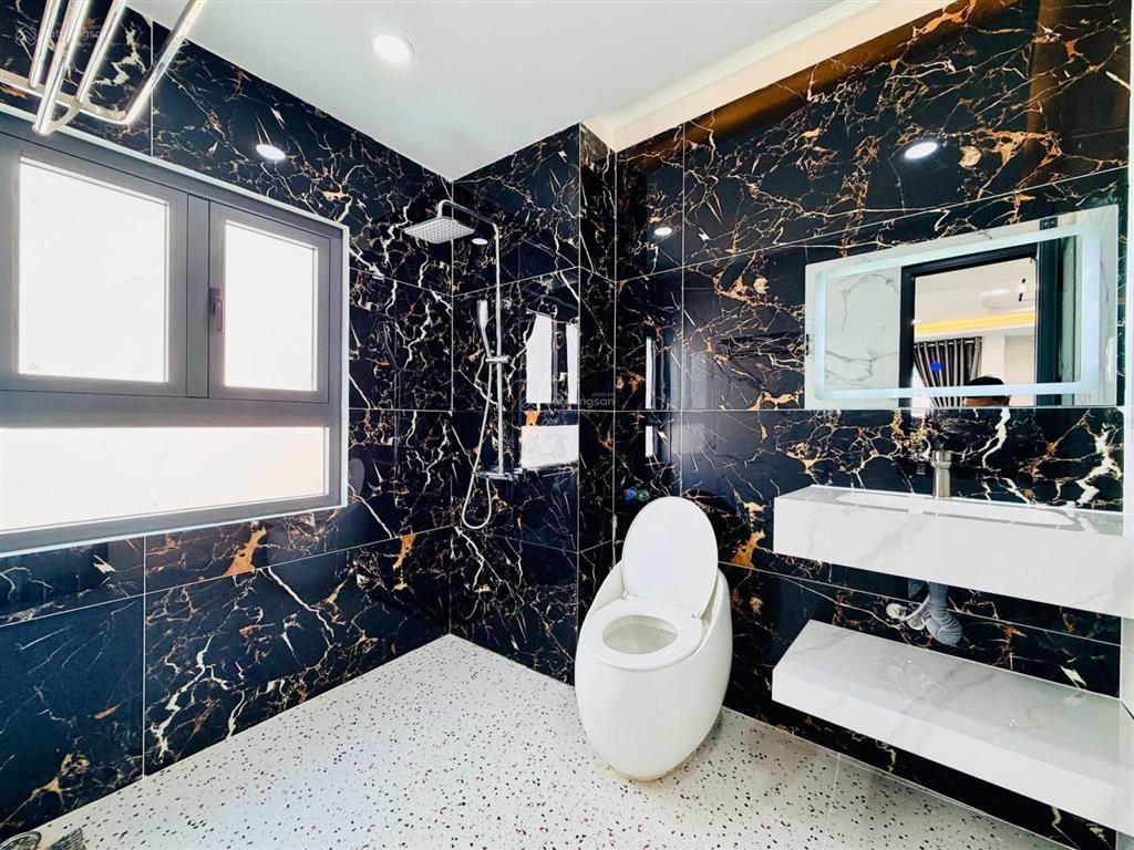Nhà mới tân cổ điển có thang máy hẻm xe hơi bùi quang là p12