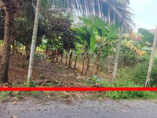 Đất thổ cư diên toàn 233m  gần võ nguyên giáp 700m  giá chỉ 1,99 tỷ  sđt 0931 897 ***