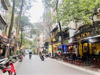 Nhà phân lô nguyên hồng 5 tầng  ô tô đỗ cửa  kinh doanh đỉnh  giá chỉ 23 tỷ