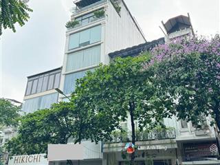 Building trần thái tông 125m  9 tầng + hầm  mặt tiền 8m  cạnh phố lớn  đầu tư dòng tiền đỉnh.