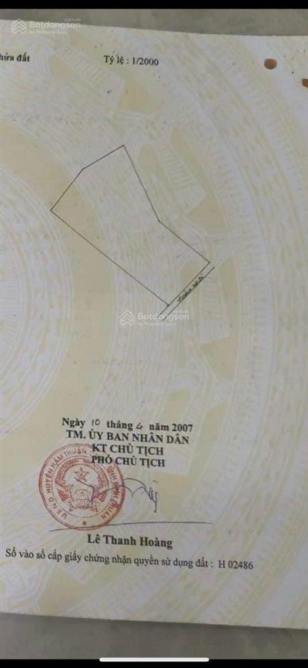 Bán đất hàm thạnh, bình thuận (nay thuộc tỉnh lâm đồng) tặng ngay 1200 trụ thanh long ruột đỏ
