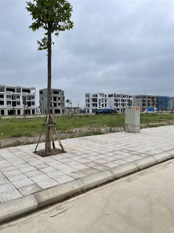 Lô mặt đường 40m dt 150m² mt 7m lô vip của dự án, sổ đỏ sang tên luôn, giá rẻ felicity uông bí