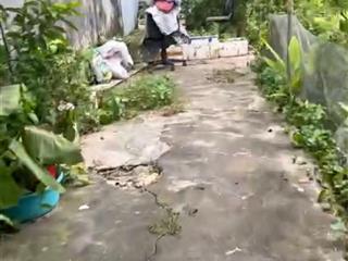 Nhỉnh 4 tỷ có ngay lô đất 68m2 ở thượng phúc, thanh trì, hà nội.