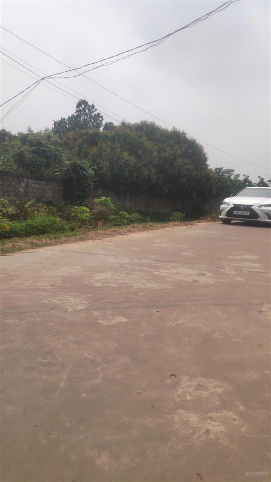 Bán đất trù hựu, phường chũ bắc ninh, gía đầu tư 800 triệu, 300m2 0982 188 ***