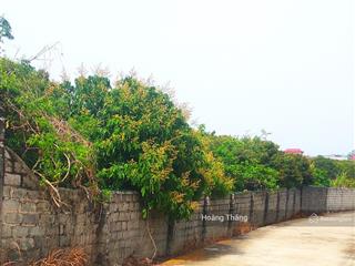 Bán đất 2072m2 tdp mịn to trù hựu phường chũ bắc ninh 0982 188 ***