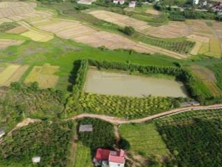 Bán đất 1,1 hecta khu công nghiệp phượng sơn thị xã chũ lục ngạn bắc giang 0982 188 ***