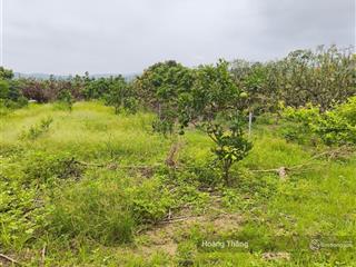 Bán đất rộng 1.650m đất kiên lao bắc ninh giá đầu tư nhỉnh 2 tỷ 0982 188 ***