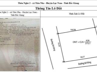 Bán 275m2 đất thổ cư phân lô ô tô tránh thôn nghè tiên nha lục nam bắc giang 0982 188 ***