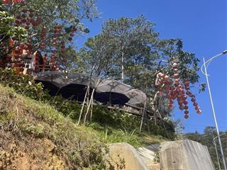 Cơ hội nhân tài sản giành cho nhà đầu tư kịp thời sở hữu bds tiềm năng,  0907 174 ***