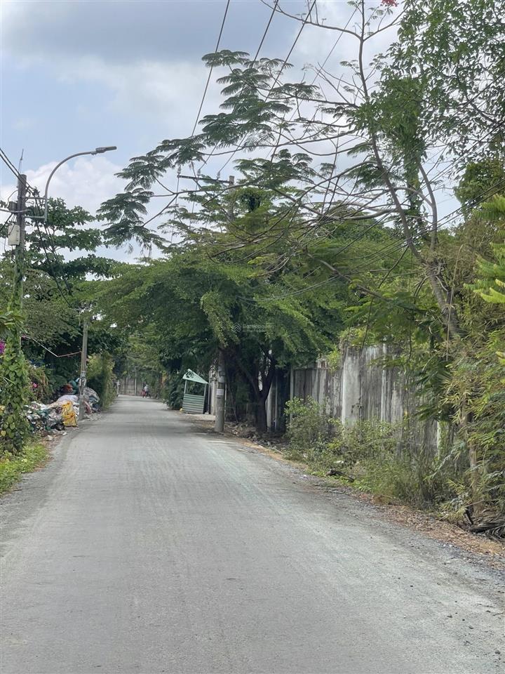 Chỉ 8,5 tỷ có ngay 1300m2 đất trồng cây lâu năm bình hưng bình chánh shr đường xe tải giáp quận 8