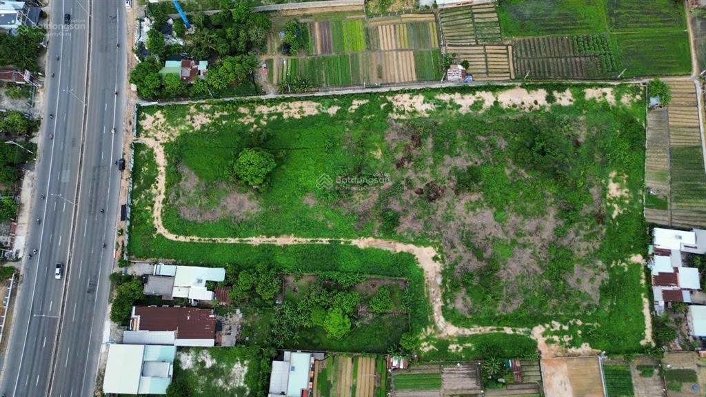 Sản phẩm lớn 16561m2 mặt tiền quốc lộ 51, phường kim dinh, thành phố bà rịa