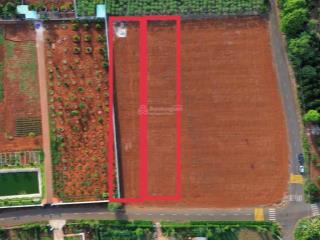 Cần bán 5 lô f0 diện tích 1000m2 đã có sổ, pháp lý ràng, hàng mới giá đầu tư thuộc thành phố bà rịa