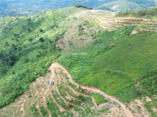 Bán 6,8ha đất làm vườn, phù hợp trang trại, vườn cây ăn trái, làm du lịch sinh thái (có view đẹp).