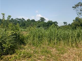 Mảnh đất chính chủ tại nhân lý, xuân sơn, sơn tây