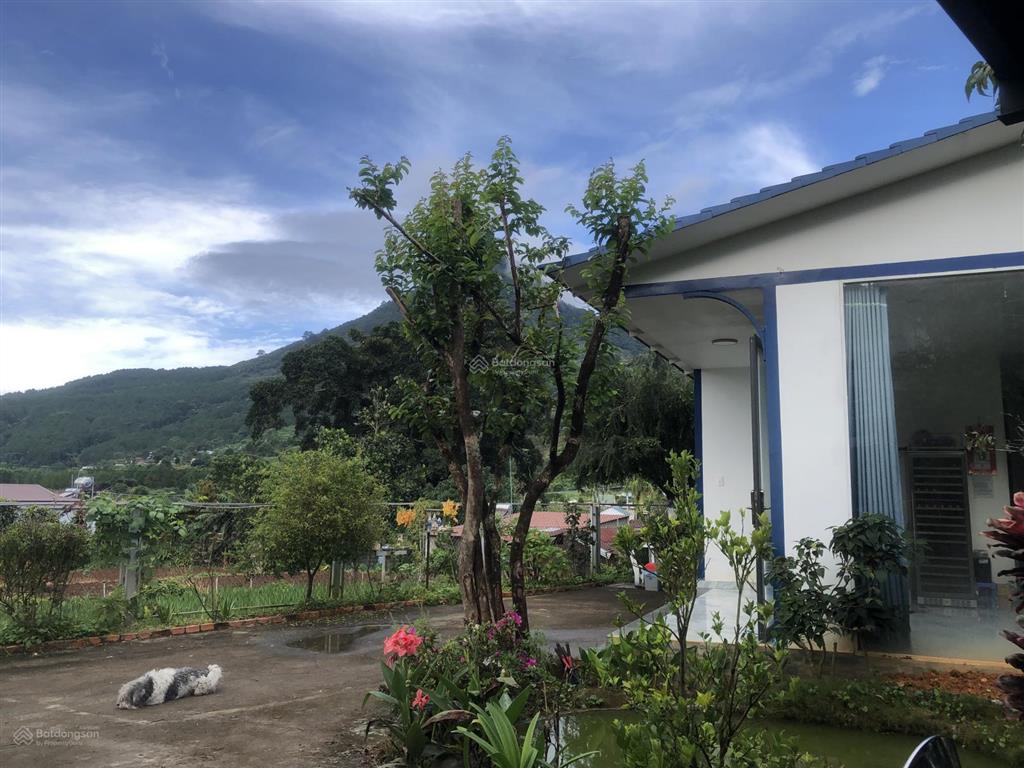 Bán biệt thự nghỉ dưỡng chính chủ