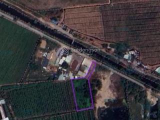 1000m2 đất vườn đường kênh 8 võ hữu lợi