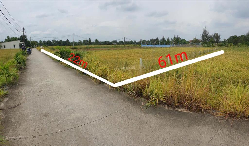 Đất vườn 1350m2 đường xe tải xã tân nhựt, bình chánh