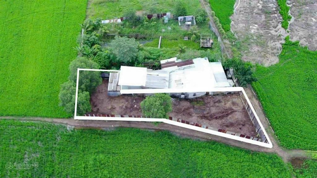 Nhà vườn 420m2, đường xe hơi, thị trấn tân túc, bình chánh