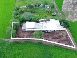 Nhà vườn 420m2, đường xe hơi, thị trấn tân túc, bình chánh