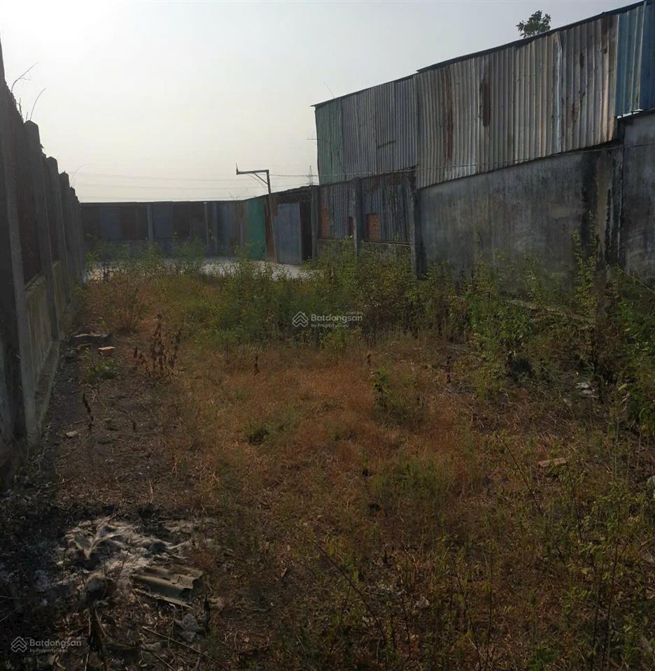 Nhà vườn 420m2, đường xe hơi, thị trấn tân túc, bình chánh