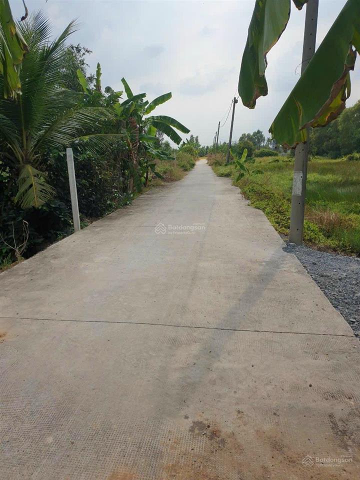 1000m2 (22x45m) đất vườn đường xe hơi, xã tân nhựt, bình chánh