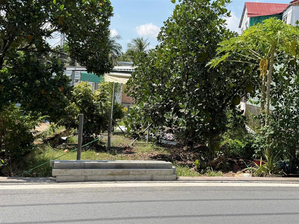 Nền thổ cư 220m2 mt đường thích thiện hoà xã lê minh xuân, bình chánh