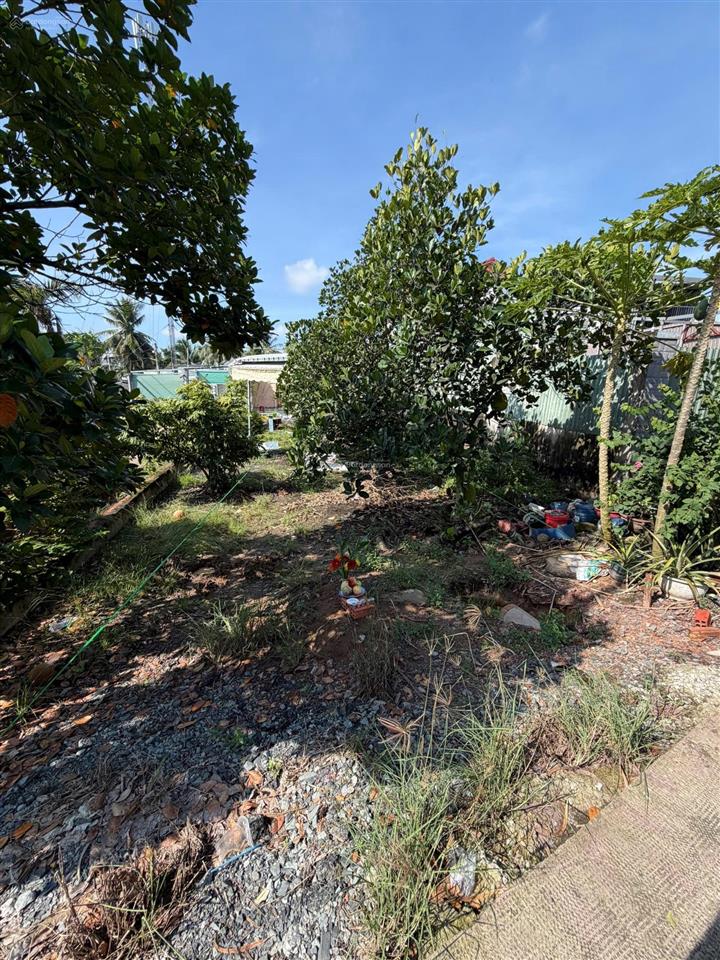 Nền thổ cư 220m2 mt đường thích thiện hoà xã lê minh xuân, bình chánh