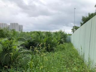 Bán lô đất ngay đường gò ô môi đào trí  phường phú thuận. dt20 x48 ( 938 m2). giá 14,8 tỷ