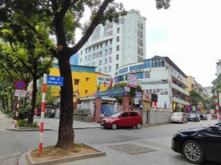 Biệt thự nhà vườn Láng Hạ, Ba Đình. Khu phân lô quan chức, 126m², MT 9.5m, ô tô tránh, bán 52 tỷ