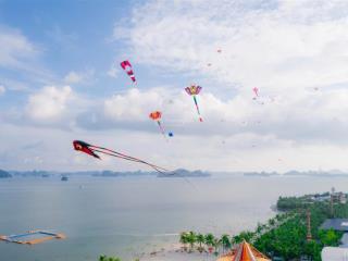 Hàng đẹp cho nđt mua tại phương đông  vân đồn