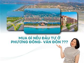 Mua gì nếu đầu tư tại phương đông  vân đồn
