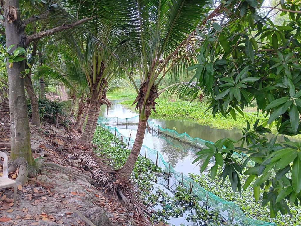 Bán nhà mặt tiền đường lớn vị trí đẹp tiện kinh doanh buôn bán đủ ngành nghề