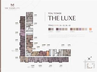 Chính chủ cần bán shophouse chung cư 338m² toà the diamond dự án tmo cho thuê được ngay