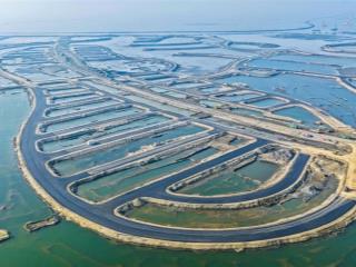 Vinhomes green paradise cần giờ  điểm chạm mới của dòng tiền thông minh