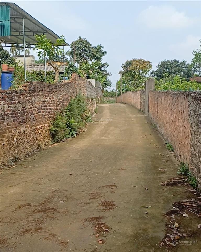 Bán 3100m2 đất tại nhuận trạch, lương sơn, hoà bình