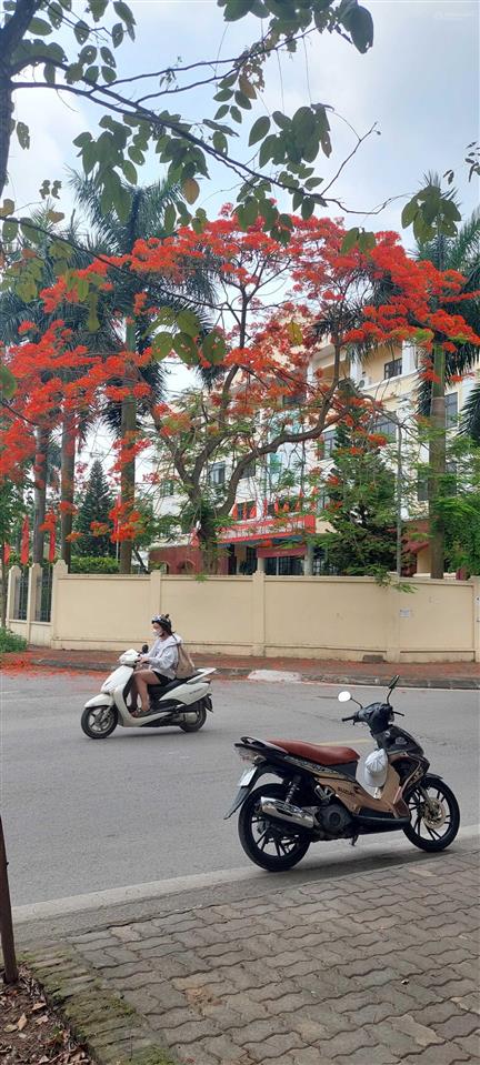 Bán đất tại khu đấu giá tứ hiệp với 95m2 giá 18 tỷ đồng. xin lộc 0962 658 ***