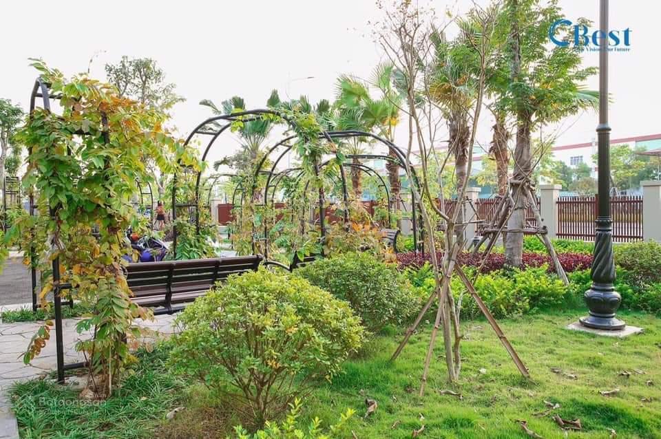 Chính chủ có nhu cầu cho thuê tại louis tân mai. diện tích 300m²/sàn, nhà 05 tầng, thông sàn, thô