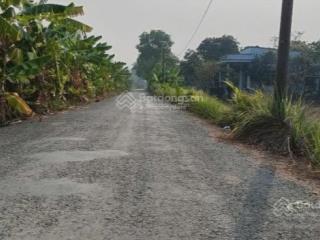 Bán đất nông nghiệp mt đường láng cát, tân nhựt, bc. giá  1,3 tr/m2 diện tích  10002000m2