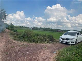 Đất trồng cây, đường bờ kênh trung đông, thới tam thôn, 4000m, 22.5 tỷ