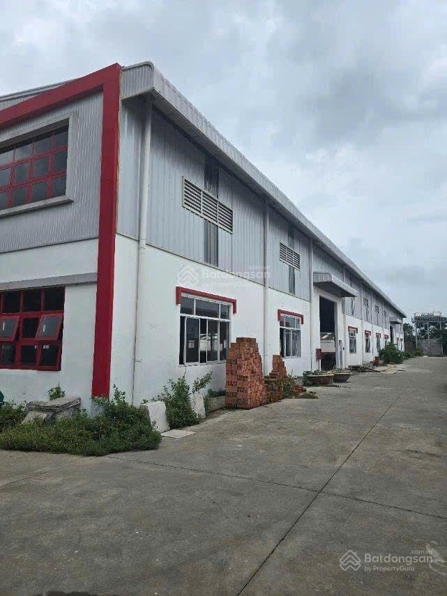 Cho thuê xưởng 1000mv, 2000mv, 5000mv, 10.000mv, 20.000mv